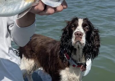 Bella