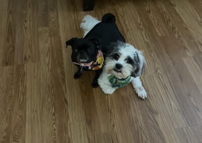 Ebony and Oreo