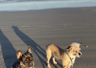 Fiona and Luigi
